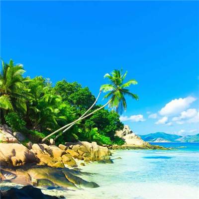 塔防阁游戏(暂未上线)v1.0.0 安卓版