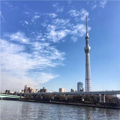 双生幻想小米服下载